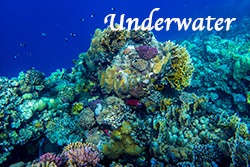 Egypt_Underwater